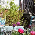 Apartman Hartmann *