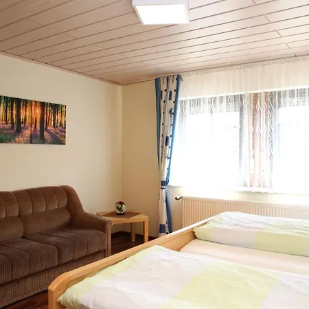 Hartmann Apartment Medebach