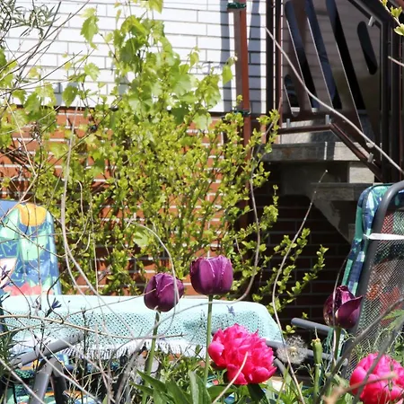 Apartament Hartmann *