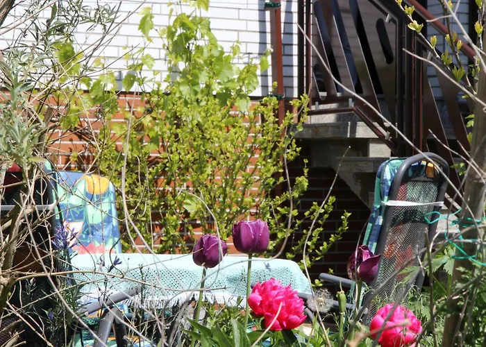 Apartament Hartmann *